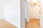Images for Orchid Close, Abridge