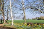 Images for Forest Drive, Fyfield