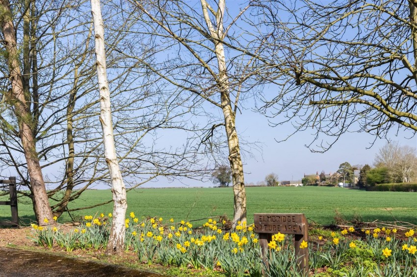 Images for Forest Drive, Fyfield