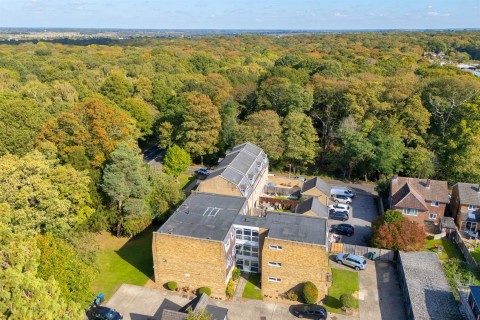 View Full Details for The Plain, Epping