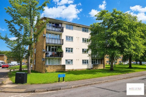 View Full Details for Ladyshot, Harlow