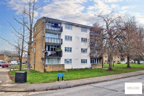 View Full Details for Ladyshot, Harlow