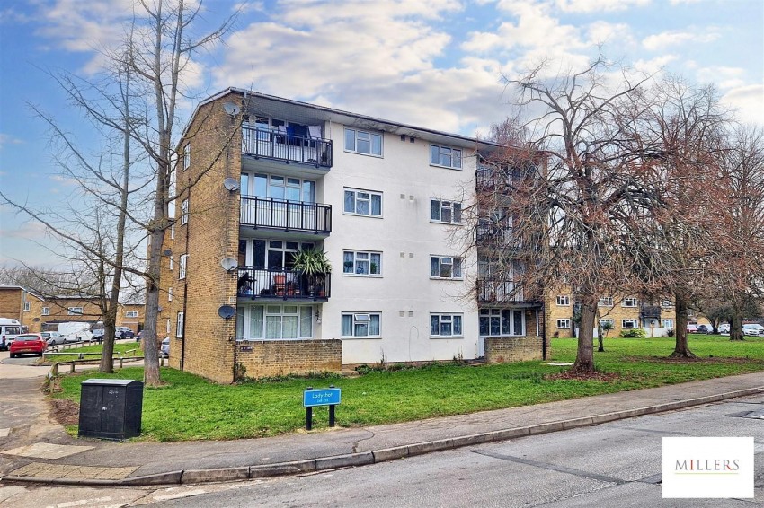 Images for Ladyshot, Harlow