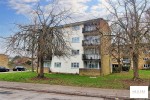 Images for Ladyshot, Harlow