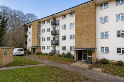 View Full Details for Ladyshot, Harlow